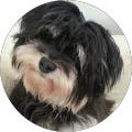 Alan Bartlett Avatar